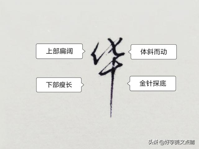 斌字五行属性是什么（斌的五行属性属什么）