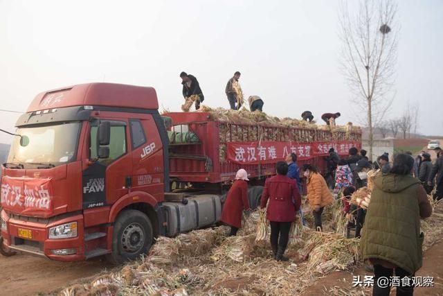 乐字属于五行属什么行（乐字属于五行属什么意思）