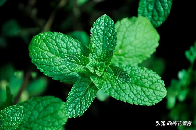 缺水的男孩名字洋气点（缺水的男孩名字洋气免费）