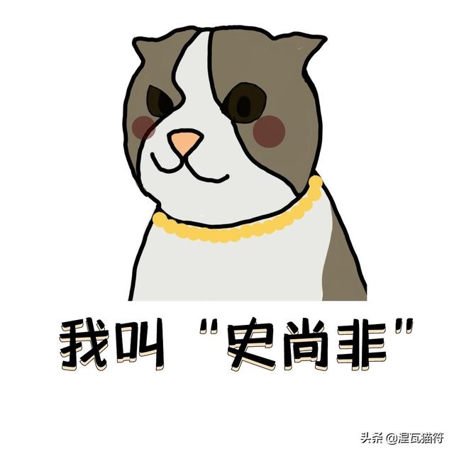 给猫取啥名字有好运（表示好运的猫名字）